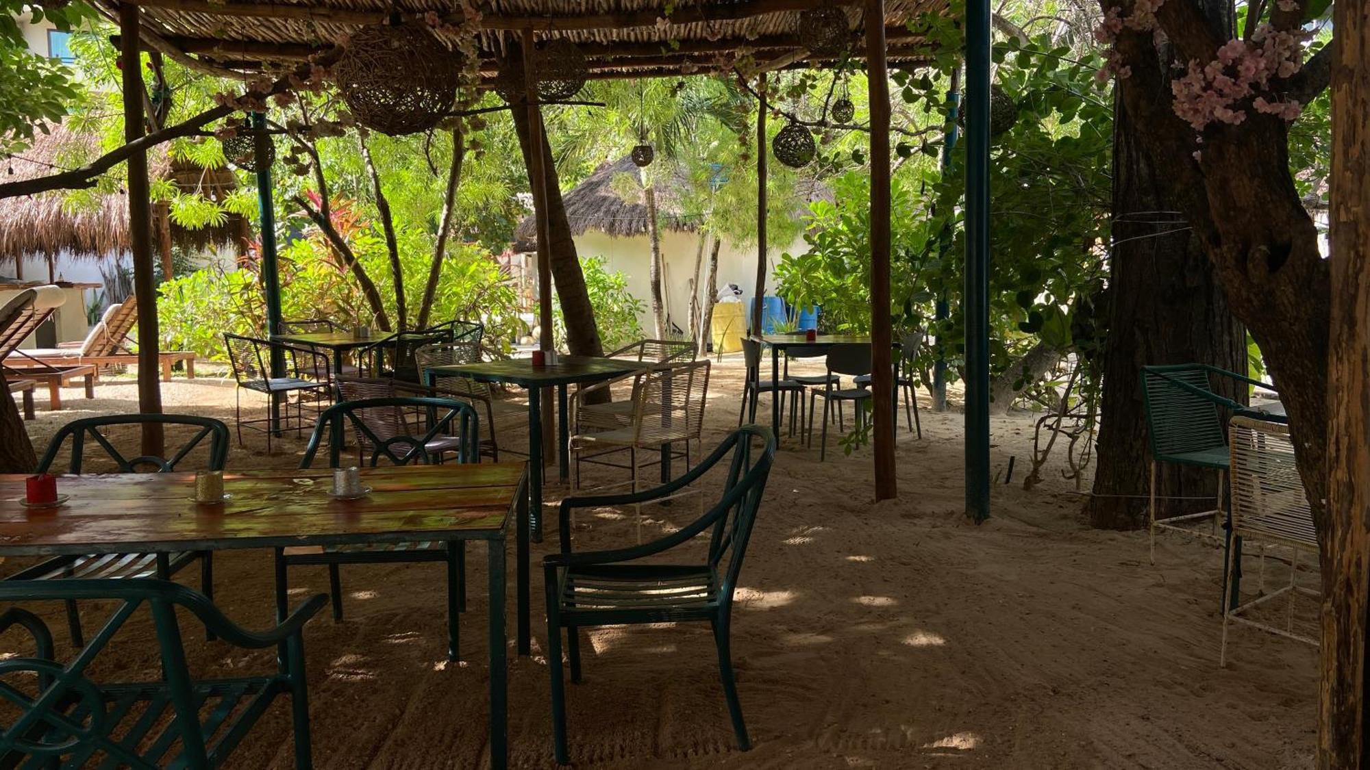 Nature Stay (Adults Only) Playa del Carmen Exterior foto